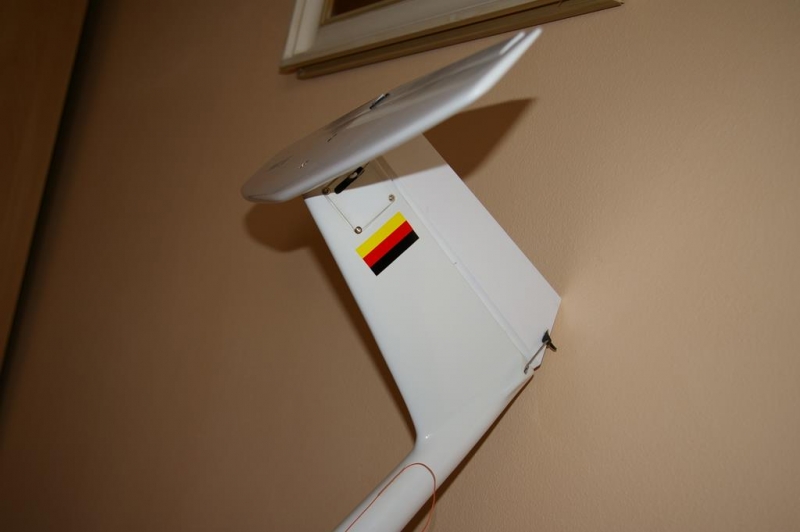 DG1000