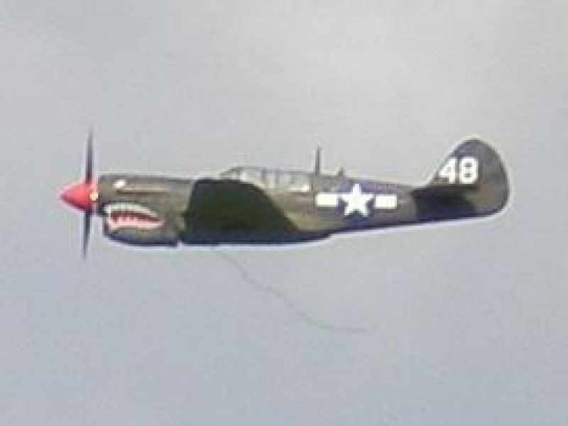 P-40 WARHAWK