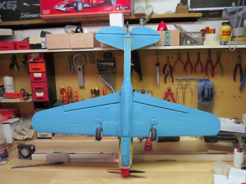 CURTIS P-40 plackolet