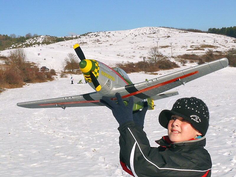 P-51D Mustang Gunfighter
