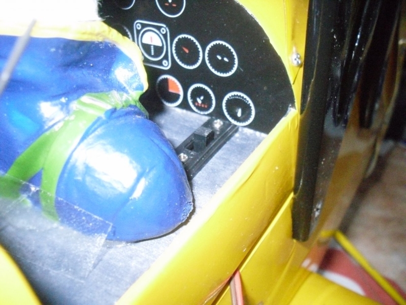 Tiger Moth