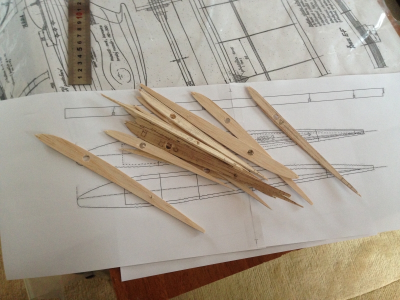 Salm- model již neexistuje