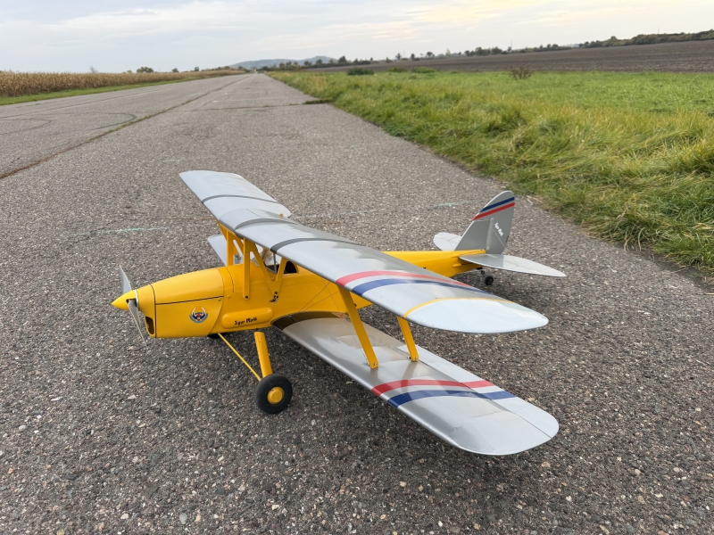 Tiger Moth