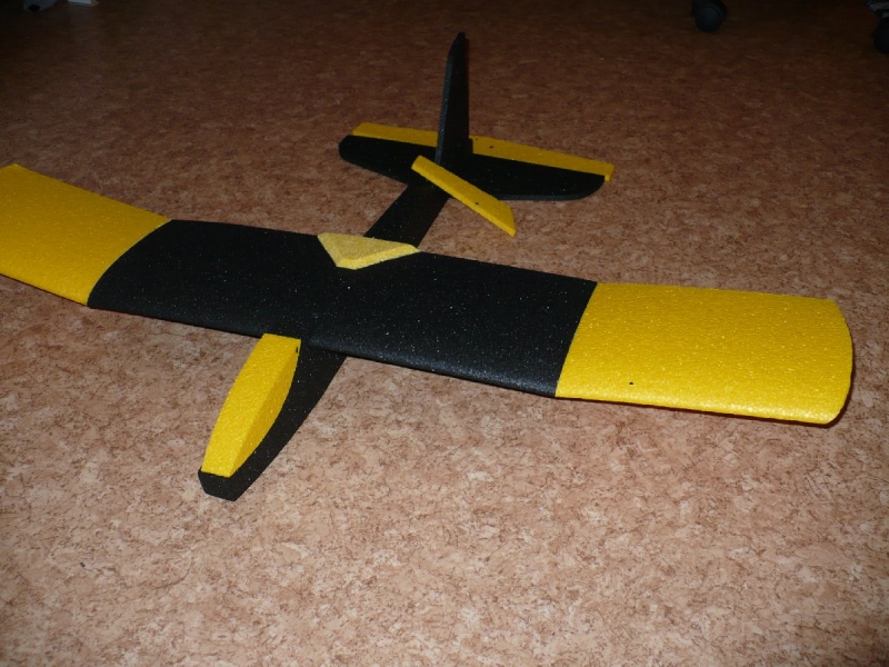 FENIX 100, RC (VKM), cvičný