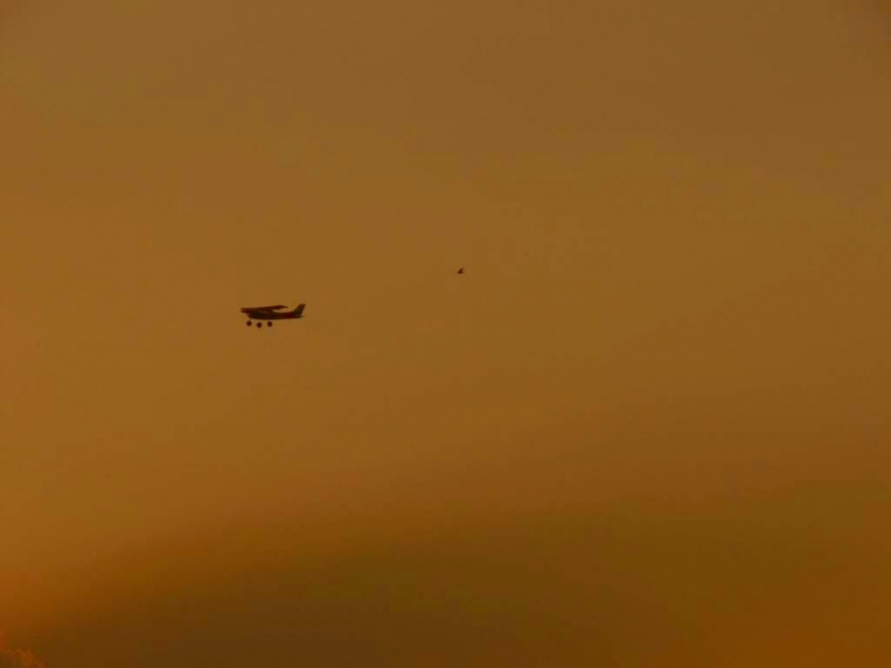 Cessna 182 Skylane
