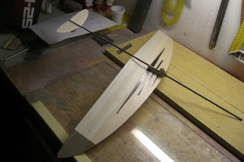 F1N Damir Kosir No.29 M