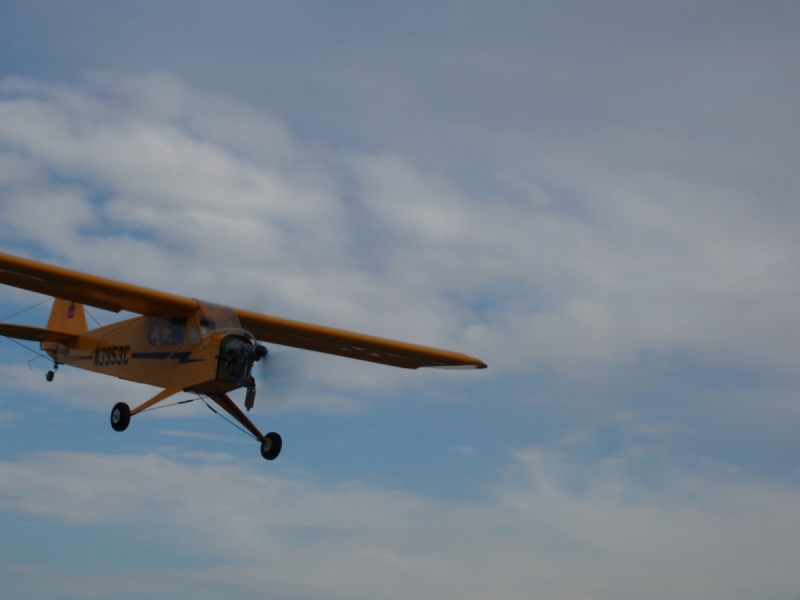 Piper J-3 Cub