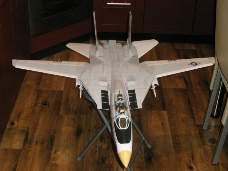F 14 Kocour
