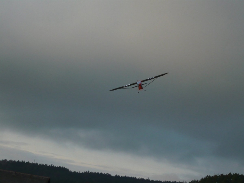  Piper L-4H Grasshoper