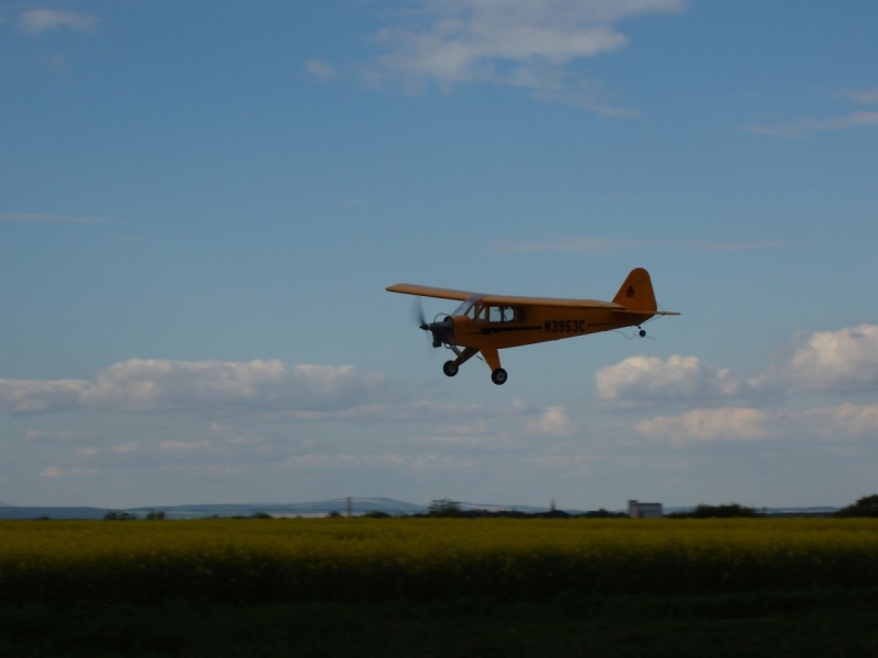 Piper J-3 Cub