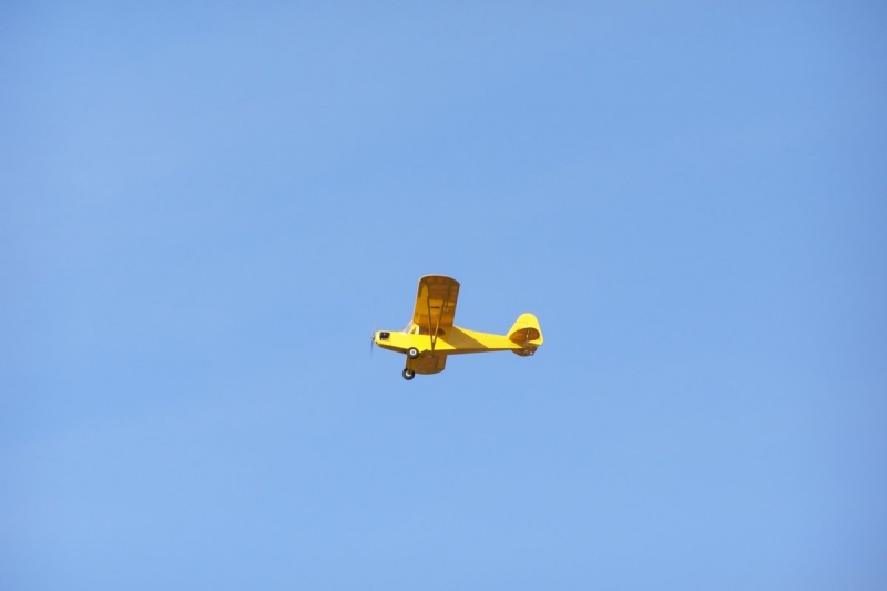 Piper  Cub