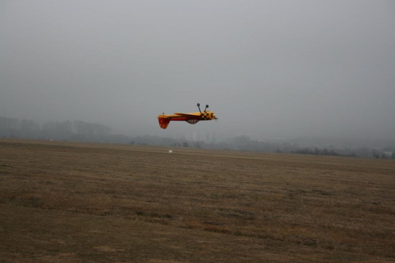 Yak 55 GoldWing 1,86m