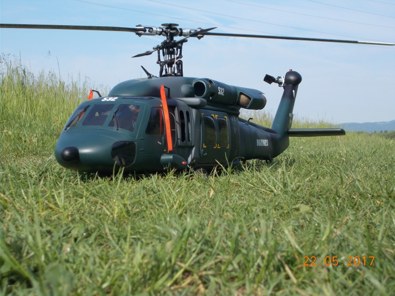 T REX 500/Black hawk