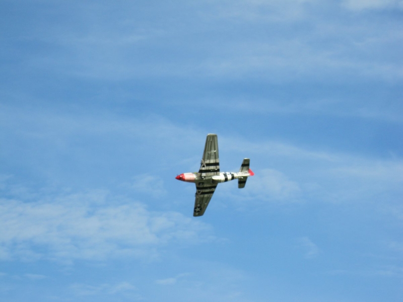 Mustang P-51