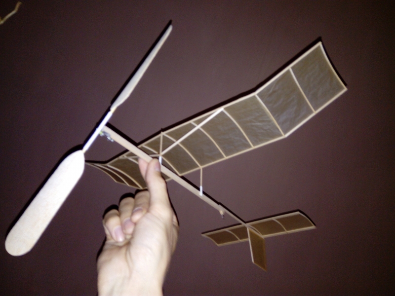 PADESÁTNÍK-halový model