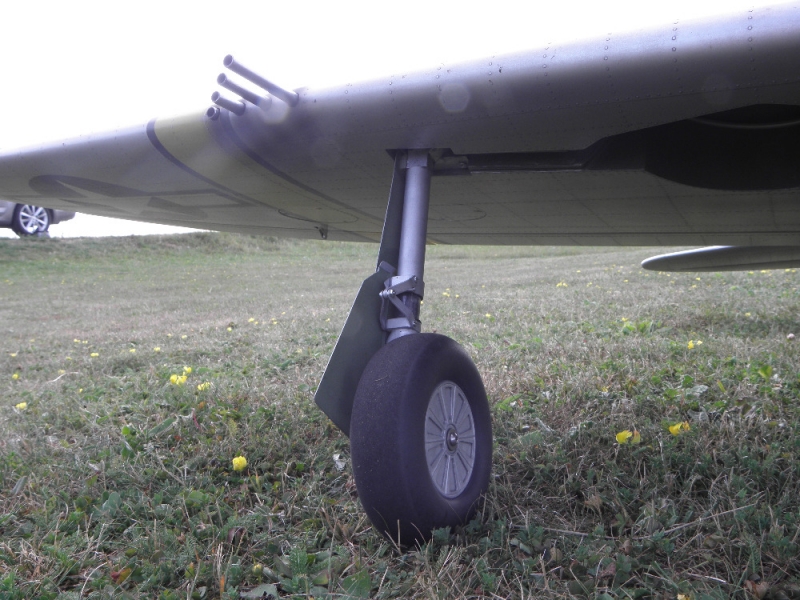 Republic P-47D Thunderbolt