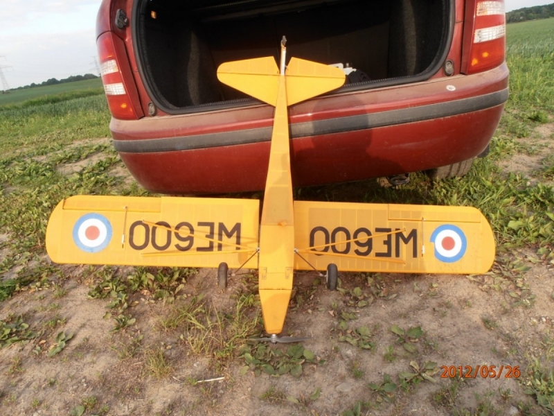 Auster