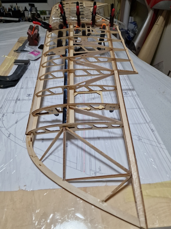 Albatros DV