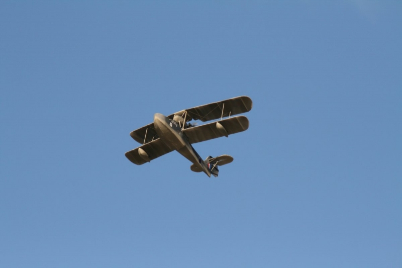 Mirco Walrus flying