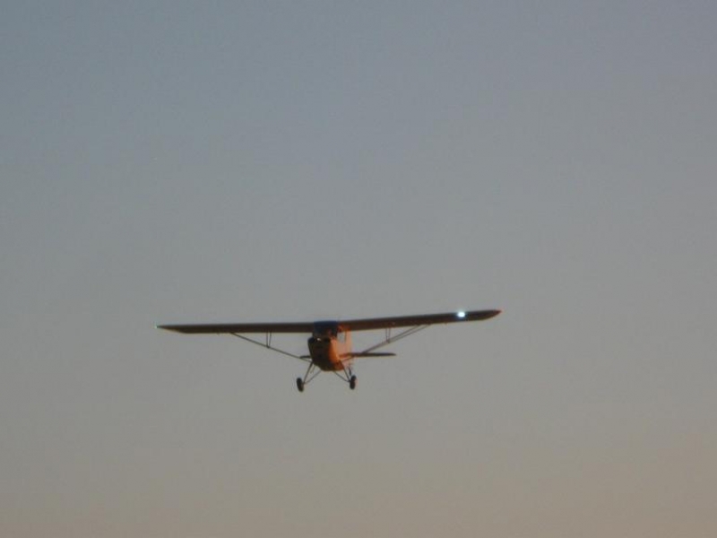 Aeronca Champ 15e