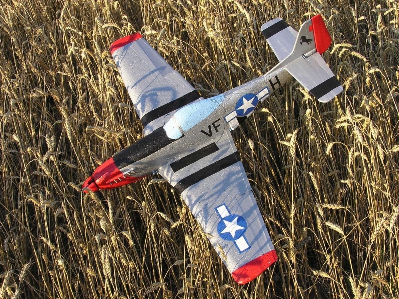 Mustang P-51D  1/10,5