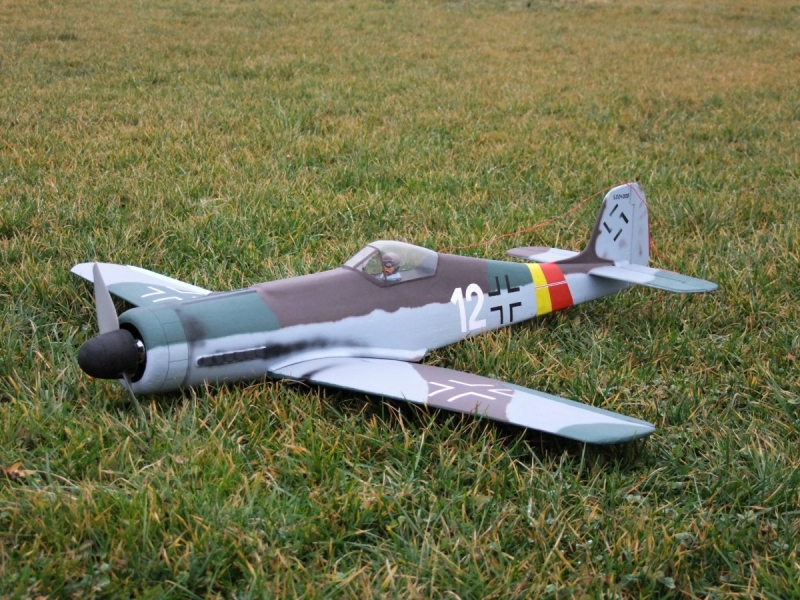 FW 190 D